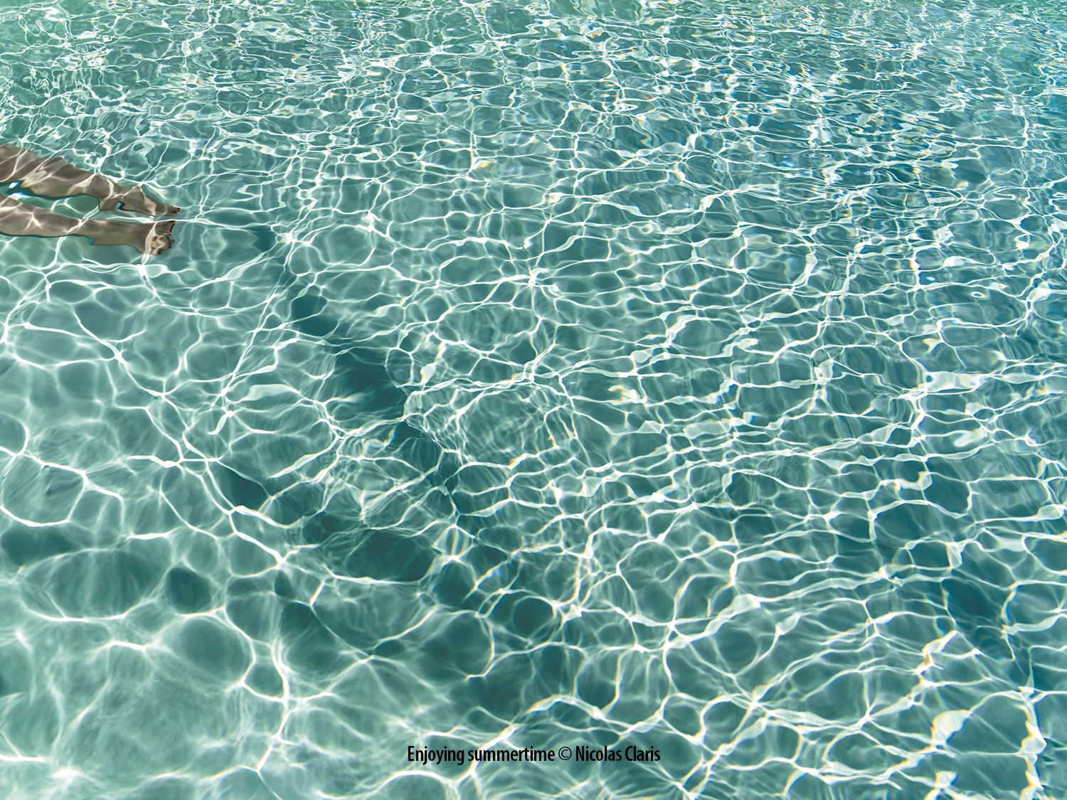 Summertime_NCZ9941.jpg