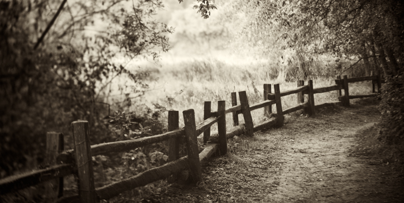 collum_james_MeadowAtDawnHenryCowell_MyHometown_2010.jpg