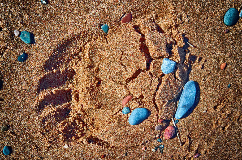 footprint_lu_hdr_small_by_rufusthered-dcnlfuv.jpg