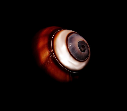 eyeintheskybritton-M.jpg